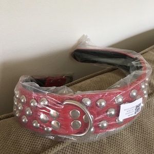 Dog Collar for Large Canine  NEW!